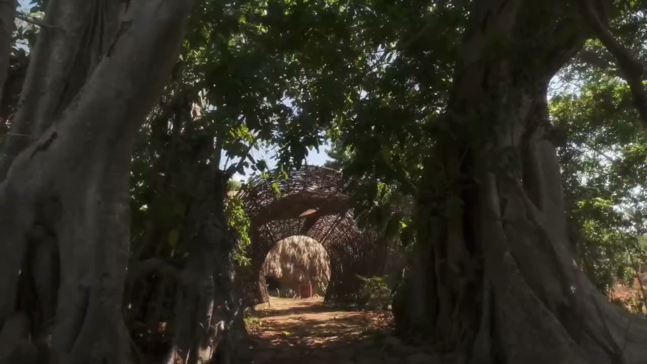 Cayo Levantado Resort — bienestar en el Caribe