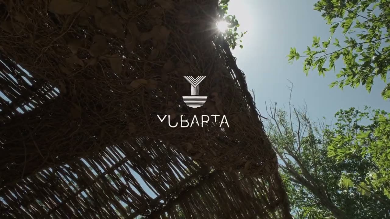 Cuencos en el cenote de Yubarta — Cayo Levantado Resort