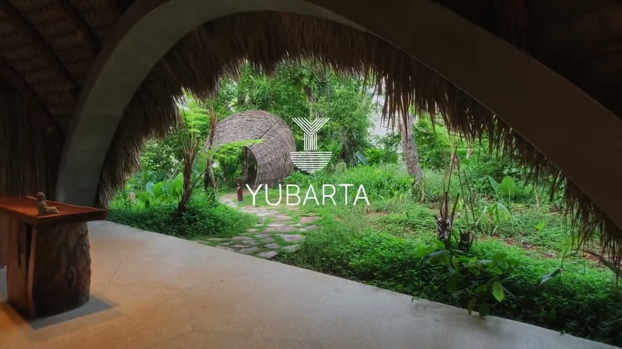 Clase de aeroyoga en Yubarta — Cayo Levantado Resort