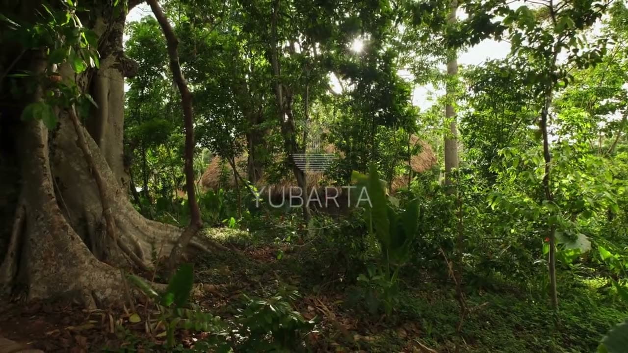 Circuito de piscina, jacuzzi y baño de hielo en Yubarta — Cayo Levantado Resort