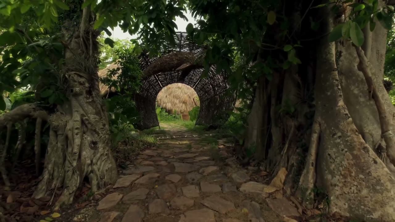 Yubarta — espacio diseñado por Soul Elements